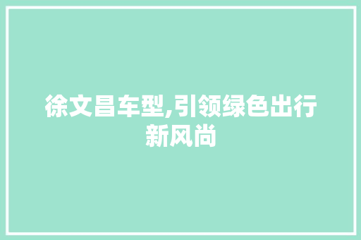 徐文昌车型,引领绿色出行新风尚