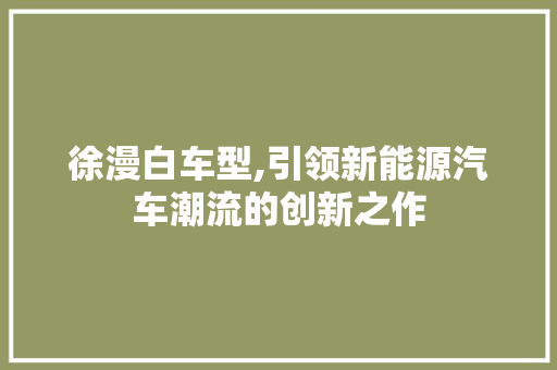 徐漫白车型,引领新能源汽车潮流的创新之作
