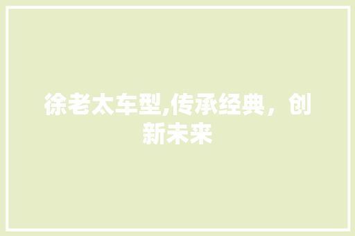 徐老太车型,传承经典，创新未来
