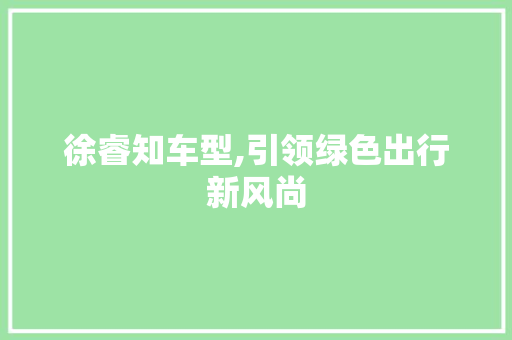 徐睿知车型,引领绿色出行新风尚