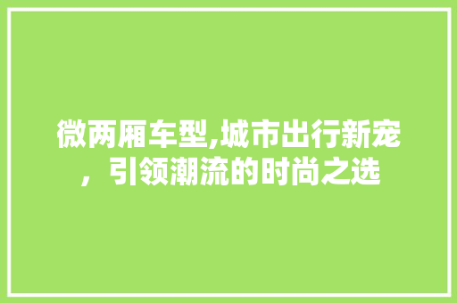 微两厢车型,城市出行新宠，引领潮流的时尚之选