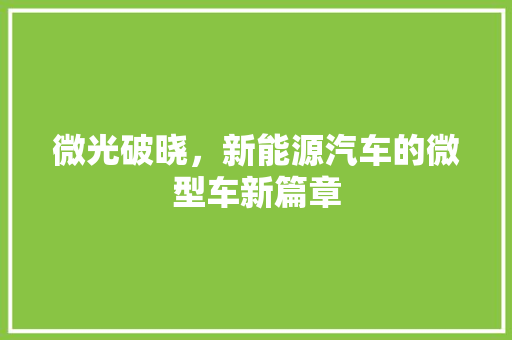 微光破晓，新能源汽车的微型车新篇章
