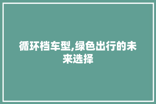 循环档车型,绿色出行的未来选择