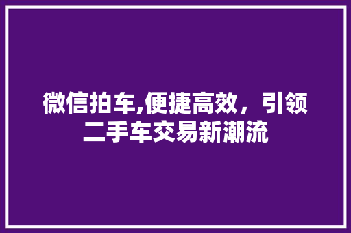 微信拍车,便捷高效，引领二手车交易新潮流