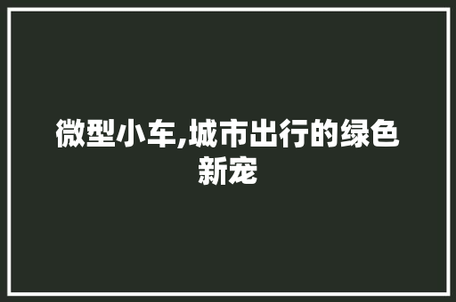 微型小车,城市出行的绿色新宠