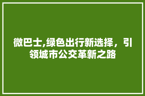 微巴士,绿色出行新选择，引领城市公交革新之路