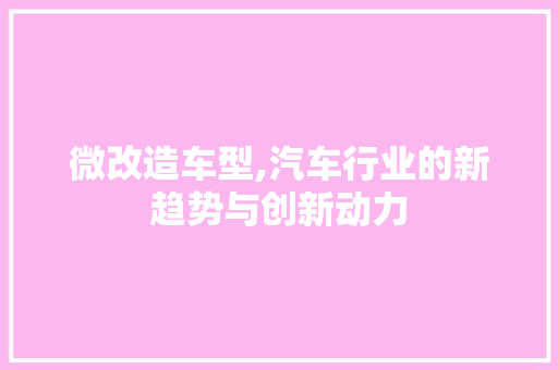微改造车型,汽车行业的新趋势与创新动力