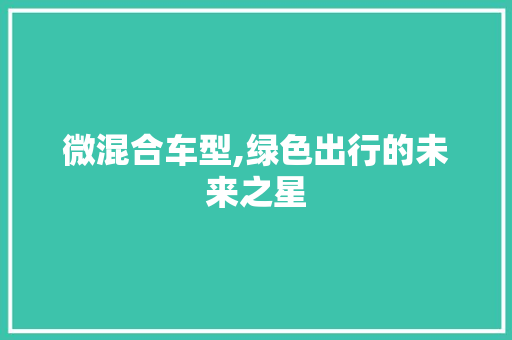 微混合车型,绿色出行的未来之星