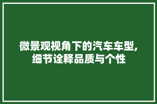 微景观视角下的汽车车型,细节诠释品质与个性