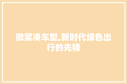 微紧凑车型,新时代绿色出行的先锋
