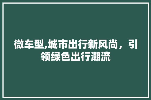 微车型,城市出行新风尚，引领绿色出行潮流