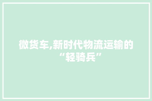 微货车,新时代物流运输的“轻骑兵”