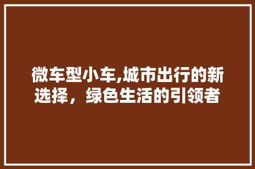 微车型小车,城市出行的新选择，绿色生活的引领者
