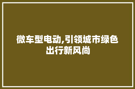 微车型电动,引领城市绿色出行新风尚