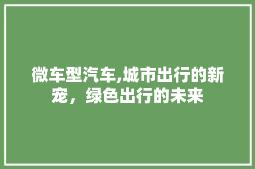微车型汽车,城市出行的新宠，绿色出行的未来