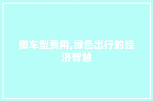 微车型费用,绿色出行的经济智慧