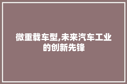 微重载车型,未来汽车工业的创新先锋