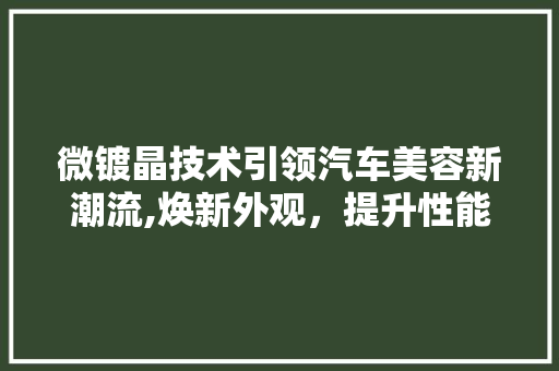 微镀晶技术引领汽车美容新潮流,焕新外观，提升性能