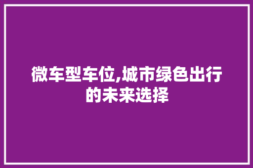 微车型车位,城市绿色出行的未来选择