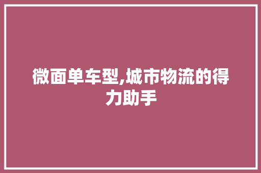 微面单车型,城市物流的得力助手