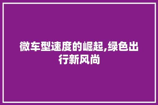 微车型速度的崛起,绿色出行新风尚