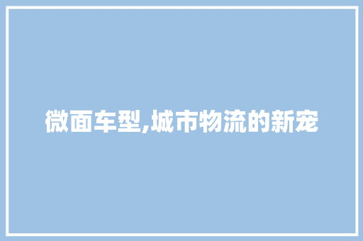 微面车型,城市物流的新宠