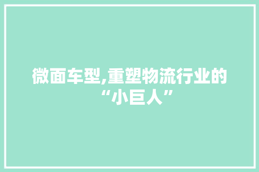 微面车型,重塑物流行业的“小巨人”