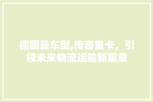 德国曼车型,传奇重卡，引领未来物流运输新篇章