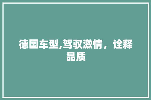 德国车型,驾驭激情，诠释品质