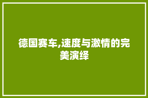 德国赛车,速度与激情的完美演绎 汽车配件