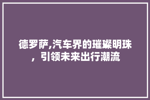 德罗萨,汽车界的璀璨明珠，引领未来出行潮流