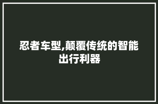 忍者车型,颠覆传统的智能出行利器