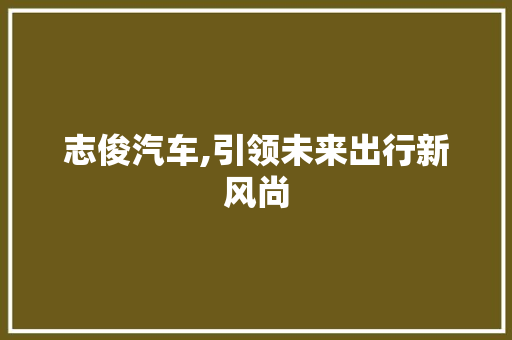 志俊汽车,引领未来出行新风尚