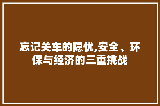 忘记关车的隐忧,安全、环保与经济的三重挑战