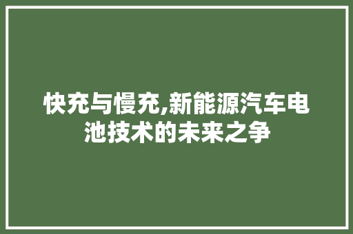 快充与慢充,新能源汽车电池技术的未来之争