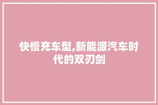 快慢充车型,新能源汽车时代的双刃剑