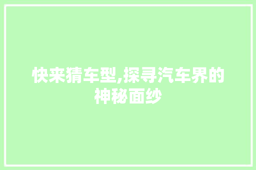 快来猜车型,探寻汽车界的神秘面纱