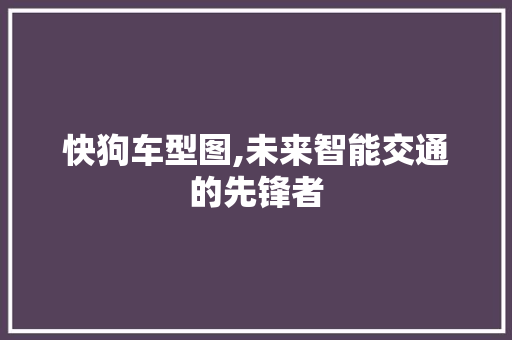 快狗车型图,未来智能交通的先锋者