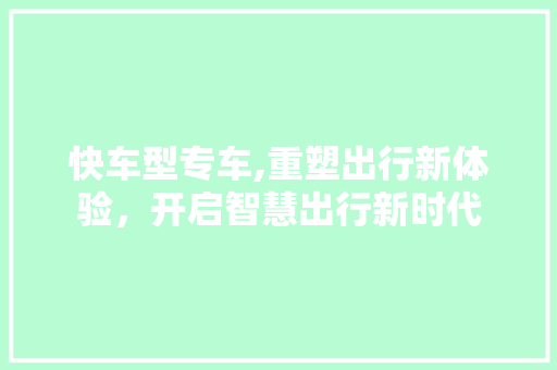 快车型专车,重塑出行新体验，开启智慧出行新时代