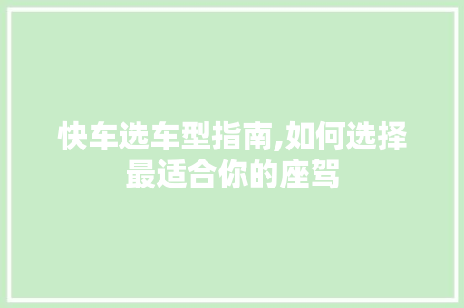 快车选车型指南,如何选择最适合你的座驾