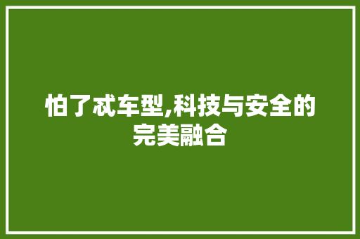 怕了忒车型,科技与安全的完美融合