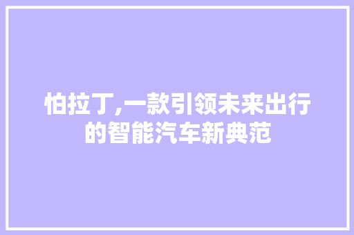 怕拉丁,一款引领未来出行的智能汽车新典范