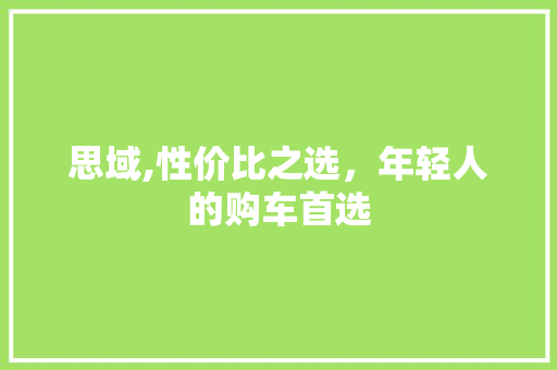 思域,性价比之选，年轻人的购车首选