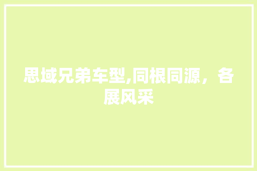 思域兄弟车型,同根同源，各展风采