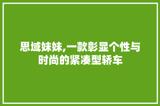 思域妹妹,一款彰显个性与时尚的紧凑型轿车