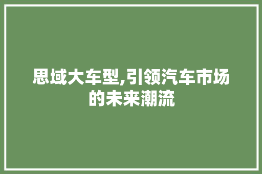 思域大车型,引领汽车市场的未来潮流