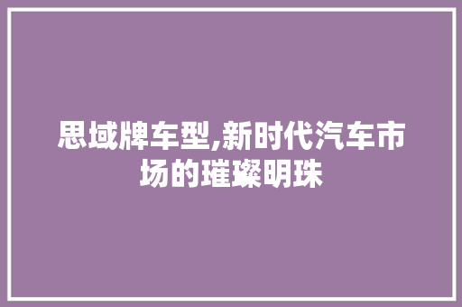 思域牌车型,新时代汽车市场的璀璨明珠