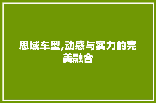 思域车型,动感与实力的完美融合