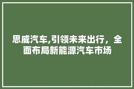 思威汽车,引领未来出行，全面布局新能源汽车市场