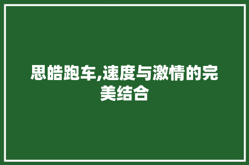 思皓跑车,速度与激情的完美结合